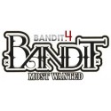 Boudin de bord d'attaque pour BANDIT 4 - 2011