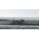 Surf Sea Horse Astro de Gaia Creators